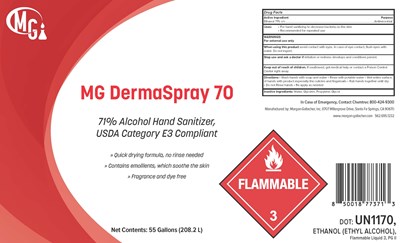 Image Description (Mg 55g Dermaspray 70 A22)